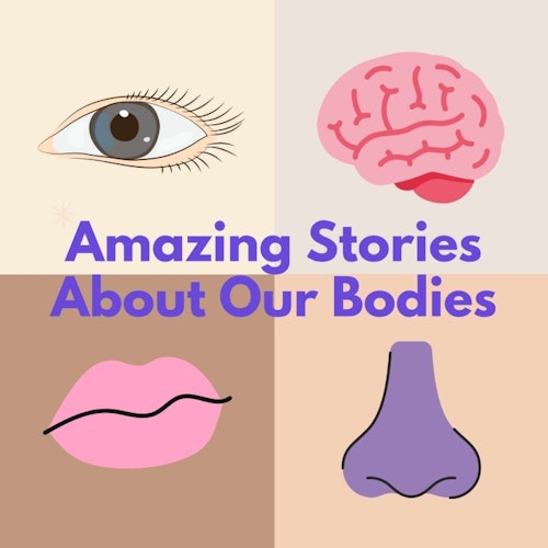 Three Amazing Stories About Our Bodies cover artwork