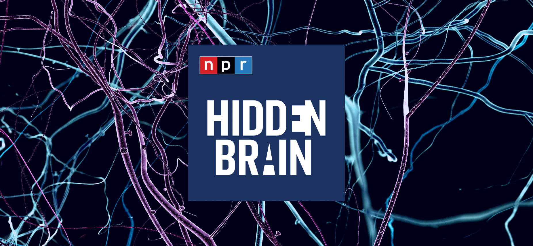 npr hidden brain episodes