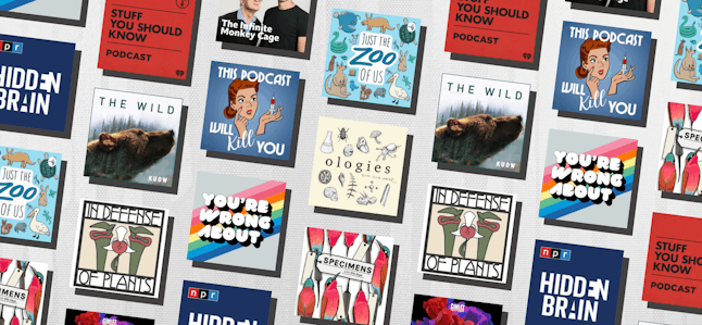 podcast cover image