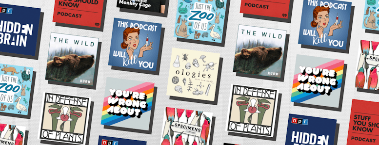 podcast cover image